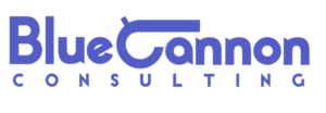 Bluecannon Consulting Logo Without Icon Small
